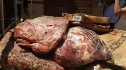 2016/8/15 ضبط كمية كبيرة من اللحوم الفاسدة بإحد المطاعم الشهيرة بالفيوم