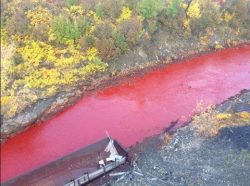 بالصور.. نهر روسى يتحول للون “الدماء