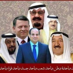 دعوة منظمة الشعوب والبرلمانات العربية لمناقشة القضايا عربية ودولية السبت القادم