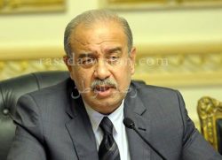 مصادرحكومية ….تعديل وزارى  و7 وزراء مرشحون للخروج من الحكومة
