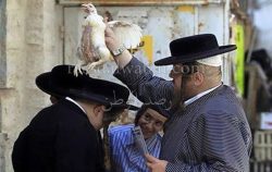 اليهود في كل ربوع العالم يحتفلوا بــ”  يوم الغفران ”  بطقوس مختلفة .