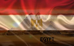 «مصر لن تركع»….يا مَن تُنادىِ بثورة الجياع
