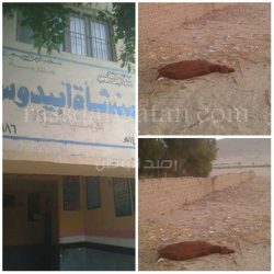 كارثة مدرسة قرية عربه ابيدوس بسوهاج