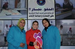“الحلو نجار” أول برنامج تدريبى مصرى لتدريب المرأة الاسكندرية على النجارة وصناعة الأثاث .