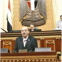 احمد عبدة الجزار يطلب الحكومة بتغير سياسة الحكومة مع النواب
