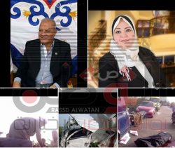 “صحافة المواطن” استغاثه من خطوره طريق منية النصر- دقهليه بحيره دماء على الاسفلت