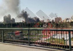 عاجل…حريق بمركز شباب الجزيرة.. والحماية المدنية: 10 سيارات لإطفاء