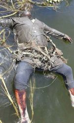 العثور على جثة رجل تطفو فوق سطح نهر النيل ب ” كفر الرفاعي ” مدينة العياط