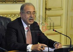 الحكومة المصرية عازمة على استكمال معركتها ضد العناصر الارهابية