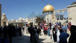 مصر تطالب اسرائيل بالوقف الفورى للعنف فى المسجد الاقصى