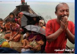 عاجل البيت الابيض يعرب عن” قلقه الشديد”حيال أزمة الروهينجا فى بورما