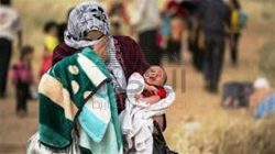 الصليب الأحمر بسوريا وقصص إنسانية مروعة