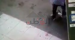 هجوم قطة علي شخص اعتدى علي اولادها في الاسكندرية
