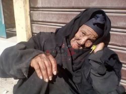 “رصد الوطن” ترصد “مسنة” تنام فى إحدى شوارع المنيا 5سنوات !!!